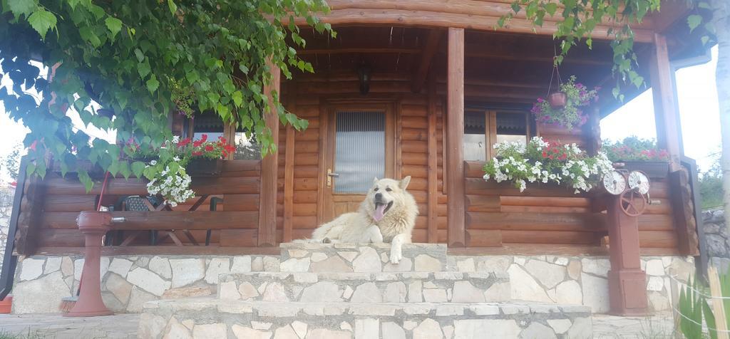 Holiday Home Zoric Nikšić Exteriör bild